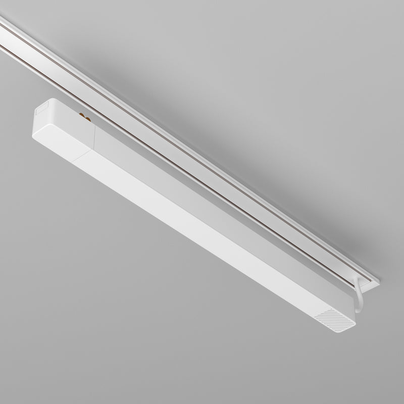 Sursa pentru alimentare, Accesorii pentru sistemul de șine Radity -1 Maytoni Technical Power Supply Radity, Alb, - 200W