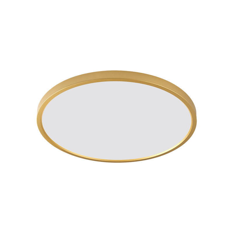 Plafoniera Cami WM-BP1108-MG LED 42W 3234LM 3000K/4000K/6500K Ø50 H30 corp plastic auriu abajur alb