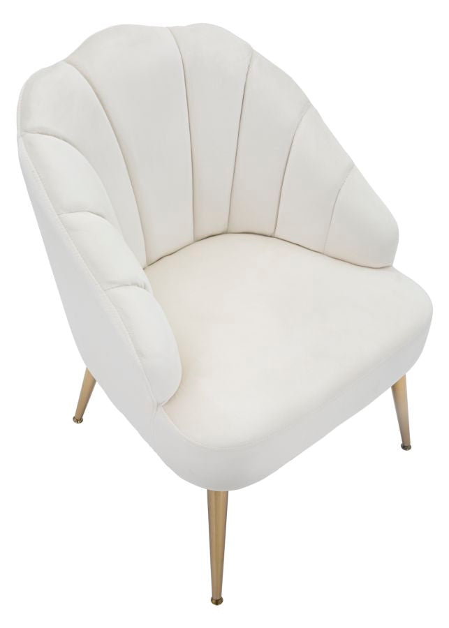 Fotoliu Mauro Ferreti Shell Crema  65X69X84  cm, Crem/Auriu