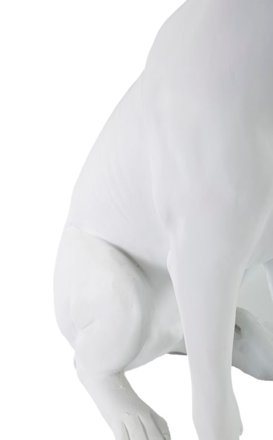 Statueta Mauro Ferretti Dog White  20X12,5X33 cm, Alb / Auriu