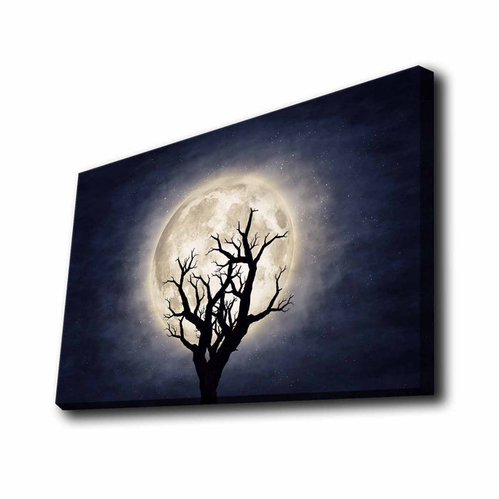 Tablou Canvas cu LED Asi Home 4570KTLGDACT - 002, 45 x 70 cm