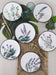 Set vesela, Asi Home Botanical Garden, ceramica, Set farfurii pentru desert (6 Piese) - AsiHome