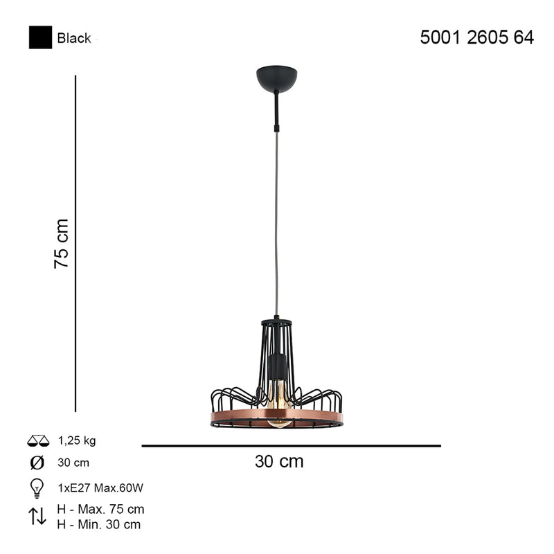 Lustra Moderna Modes Asi Home , 1xE27-60W, negru 2605-64-08