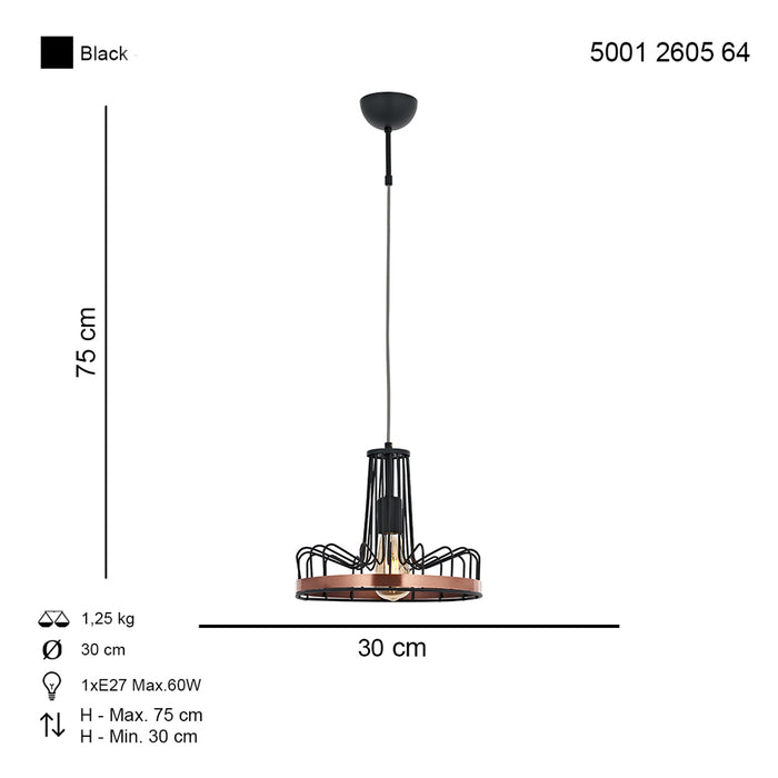 Lustra Moderna Modes Asi Home , 1xE27-60W, negru 2605-64-08