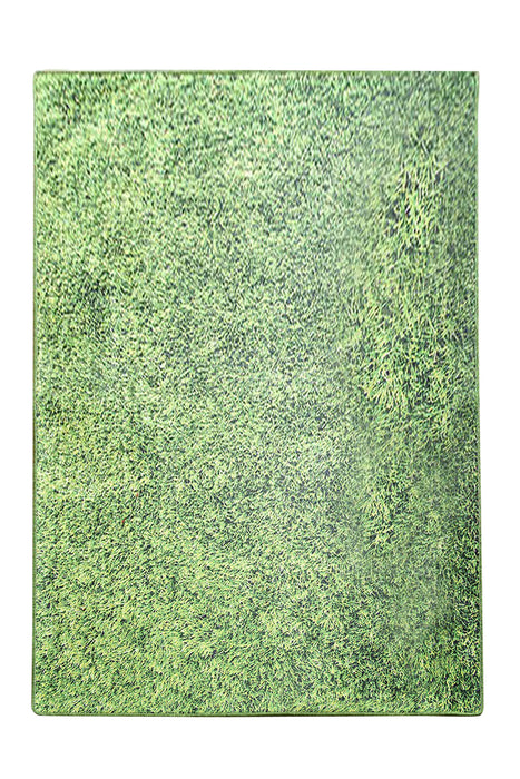Covor Terasa  Asi Home Grass, 160 x 230cm, Catifea| Poliester, Multicolor