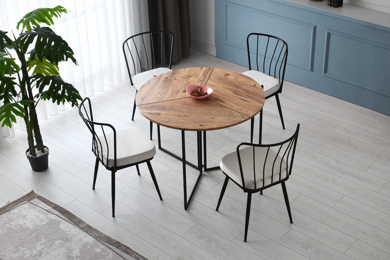 Set Scaune (4 Bucati) Asi Home Yıldız - 940 V4, Negru, 43 x82 x42cm